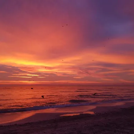 Appartement Caesar's Mamaia-nord Mamaia